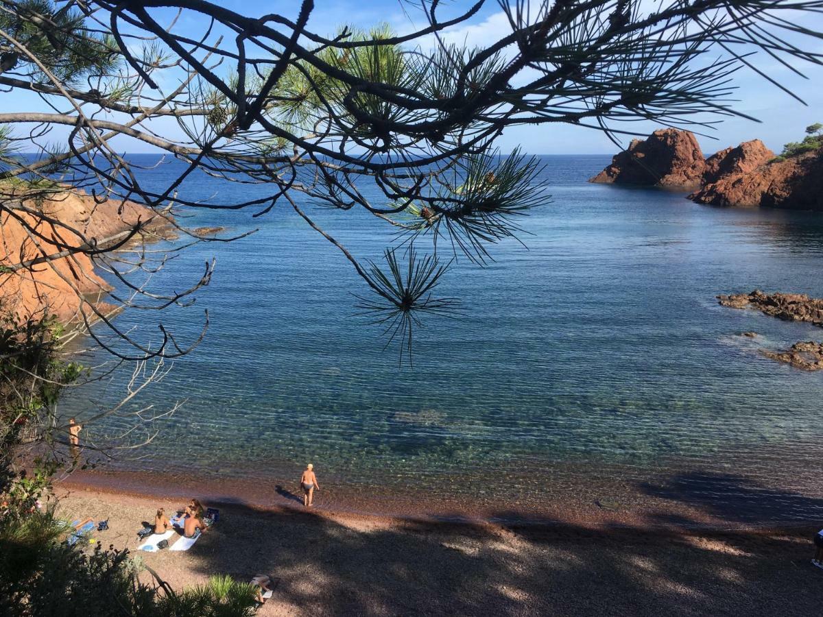 "Les Alizes" Cote Jardin Proche Bord De Mer Saint-Raphaël Exteriér fotografie