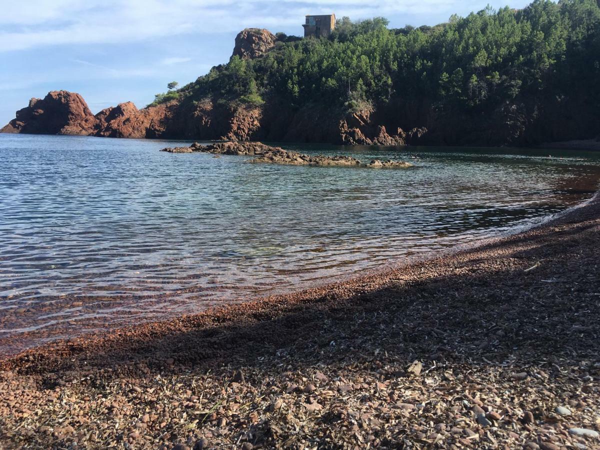 "Les Alizes" Cote Jardin Proche Bord De Mer Saint-Raphaël Exteriér fotografie
