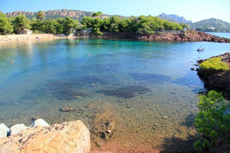 "Les Alizes" Cote Jardin Proche Bord De Mer Saint-Raphaël Exteriér fotografie