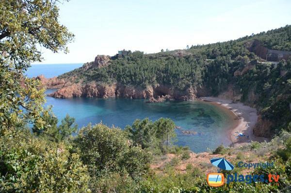 "Les Alizes" Cote Jardin Proche Bord De Mer Saint-Raphaël Exteriér fotografie